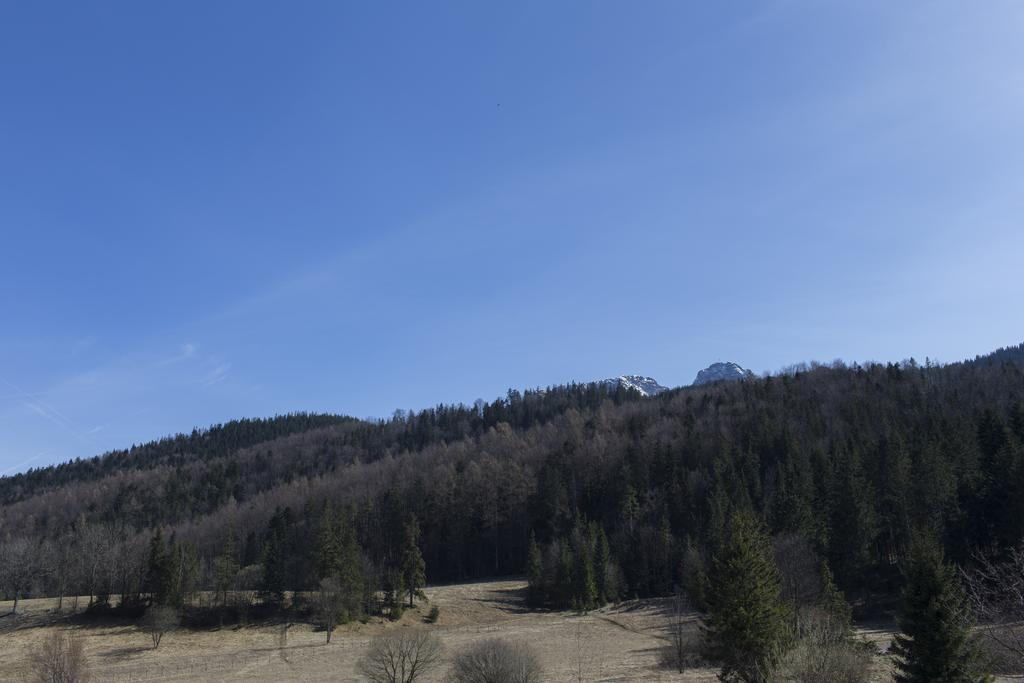 Mountain View Apartment By Tyzenhauz Zakopane Dış mekan fotoğraf